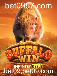 BuffaloWin: Descubra Tudo Sobre o Jogo e Suas Regras Empolgantes